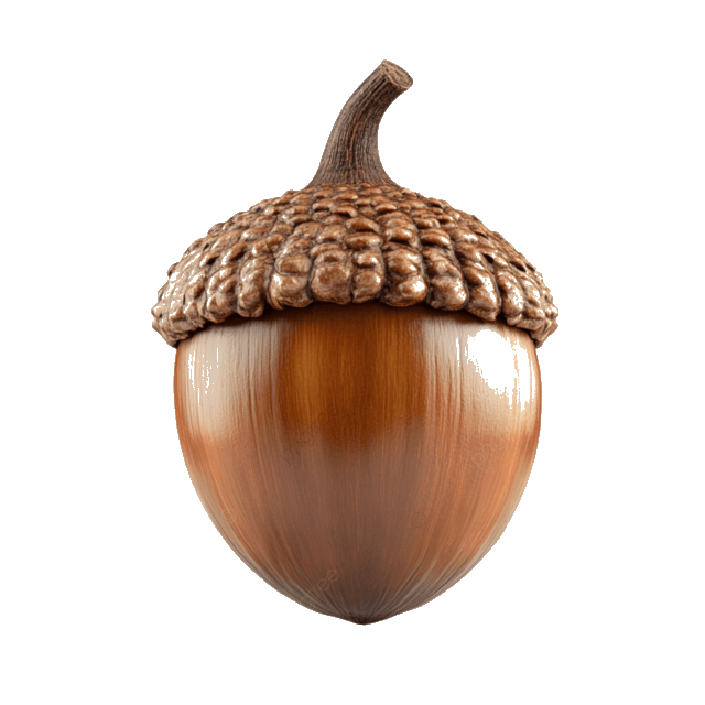 Золотой желудь - символ скидки 15%